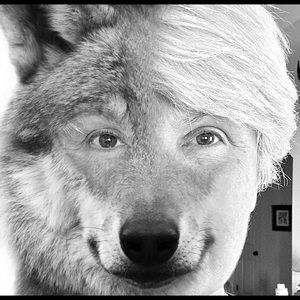 Meet your Posher, Joyce